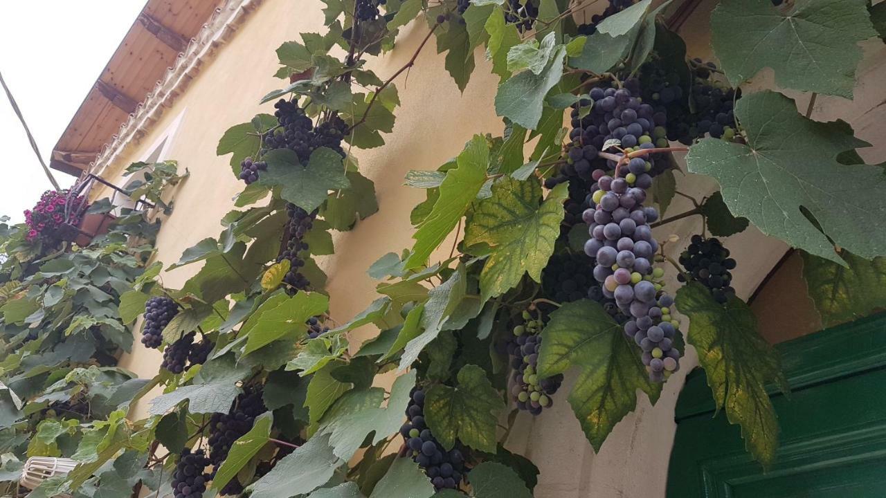 Willa Scaccia Pensieri Cerchio Zewnętrze zdjęcie
